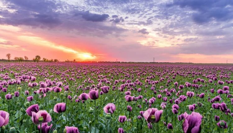 equinozio di primavera quando cade