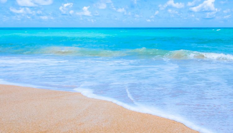 Cosa-portare-e-mangiare-in-spiaggia-alcune-ricette-estive