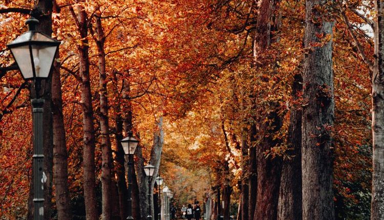 Paesaggio autunnale, simbolo degli Italiani in autunno