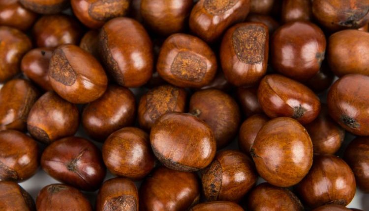 Immagine di castagne che danno benessere in autunno